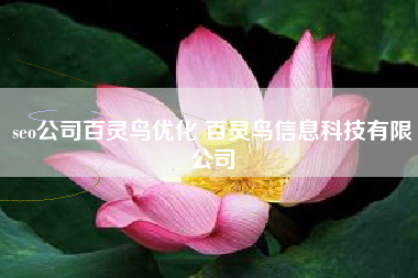 seo公司百灵鸟优化 百灵鸟信息科技有限公司
