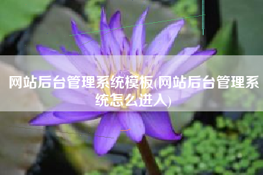 网站后台管理系统模板(网站后台管理系统怎么进入)