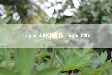 asp.net4.0网站开...(aspnet20)