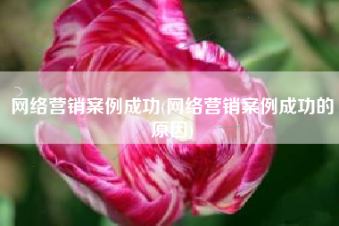 网络营销案例成功(网络营销案例成功的原因)