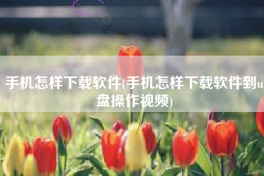 手机怎样下载软件(手机怎样下载软件到u盘操作视频)
