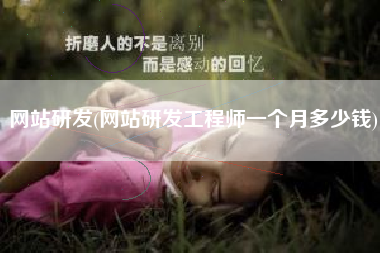 网站研发(网站研发工程师一个月多少钱)