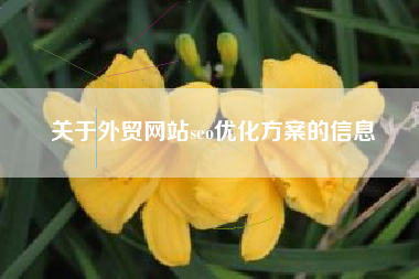 关于外贸网站seo优化方案的信息