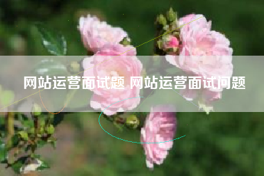 网站运营面试题 网站运营面试问题