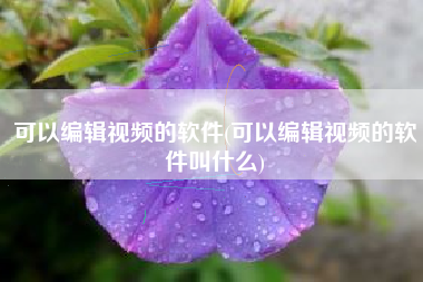 可以编辑视频的软件(可以编辑视频的软件叫什么)