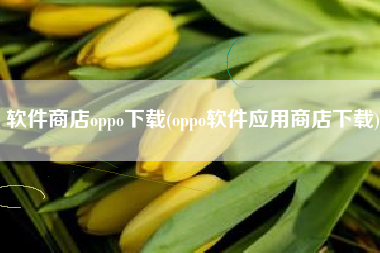 软件商店oppo下载(oppo软件应用商店下载)