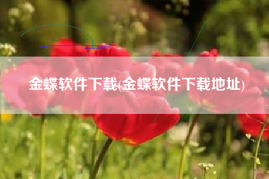 金蝶软件下载(金蝶软件下载地址)