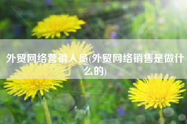 外贸网络营销人员(外贸网络销售是做什么的)