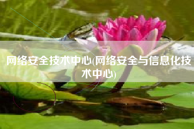 网络安全技术中心(网络安全与信息化技术中心)