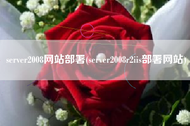 server2008网站部署(server2008r2iis部署网站)
