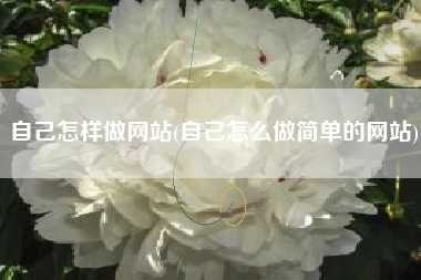 自己怎样做网站(自己怎么做简单的网站)