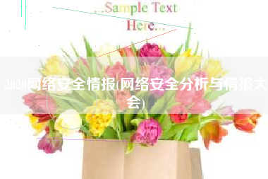 2020网络安全情报(网络安全分析与情报大会)