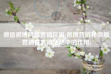 微信微博网络营销区别(微博营销和微信营销在营销活动中的作用)