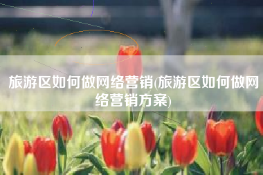 旅游区如何做网络营销(旅游区如何做网络营销方案)