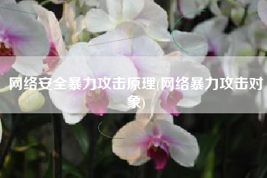 网络安全暴力攻击原理(网络暴力攻击对象)