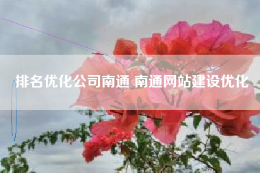 排名优化公司南通 南通网站建设优化