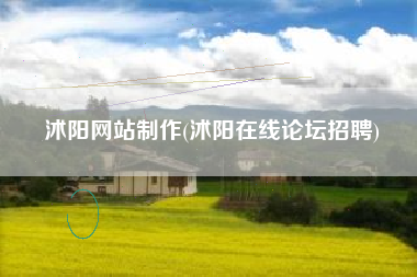 沭阳网站制作(沭阳在线论坛招聘)