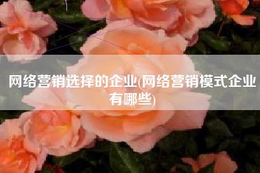 网络营销选择的企业(网络营销模式企业有哪些)