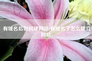 有域名后如何建网站(有域名了怎么建立网站)