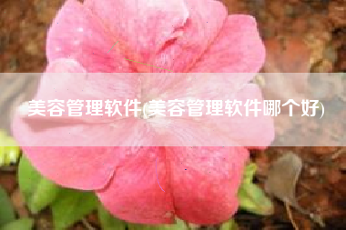 美容管理软件(美容管理软件哪个好)