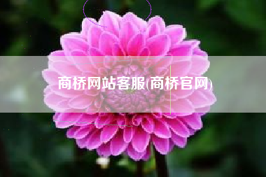 商桥网站客服(商桥官网)