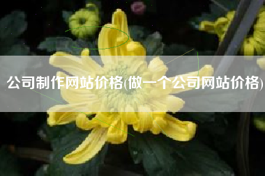 公司制作网站价格(做一个公司网站价格)