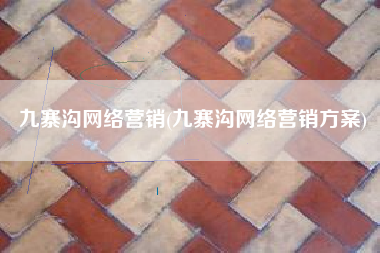 九寨沟网络营销(九寨沟网络营销方案)