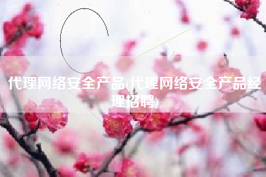 代理网络安全产品(代理网络安全产品经理招聘)
