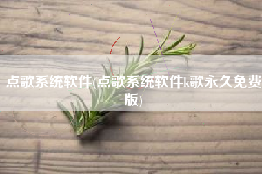 点歌系统软件(点歌系统软件k歌永久免费版)