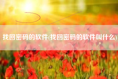 找回密码的软件(找回密码的软件叫什么)