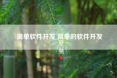 简单软件开发 简单的软件开发