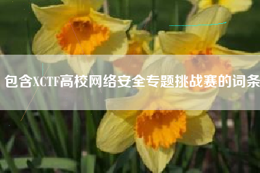 包含XCTF高校网络安全专题挑战赛的词条