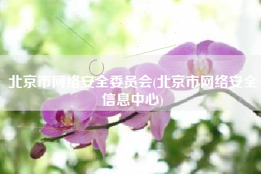 北京市网络安全委员会(北京市网络安全信息中心)