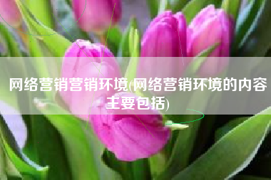 网络营销营销环境(网络营销环境的内容主要包括)