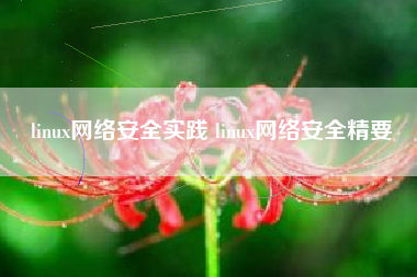linux网络安全实践 linux网络安全精要