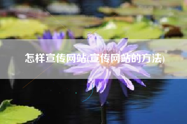 怎样宣传网站(宣传网站的方法)