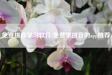 免费拼音学习软件(免费学拼音的app推荐)