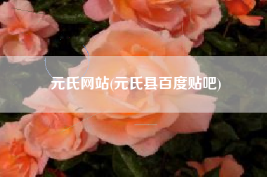 元氏网站(元氏县百度贴吧)