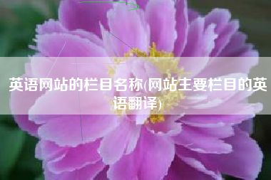 英语网站的栏目名称(网站主要栏目的英语翻译)