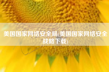 美国国家网络安全局(美国国家网络安全战略下载)