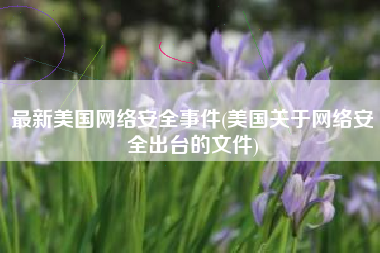 最新美国网络安全事件(美国关于网络安全出台的文件)