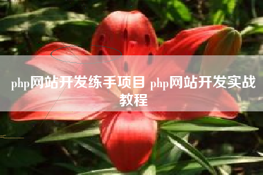 php网站开发练手项目 php网站开发实战教程