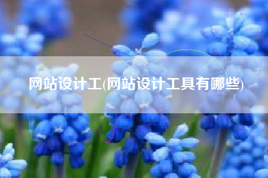 网站设计工(网站设计工具有哪些)