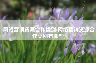 网络营销资源合作类别(网络营销资源合作类别有哪些)