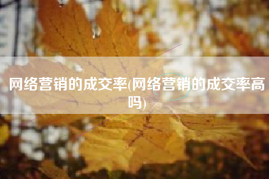 网络营销的成交率(网络营销的成交率高吗)