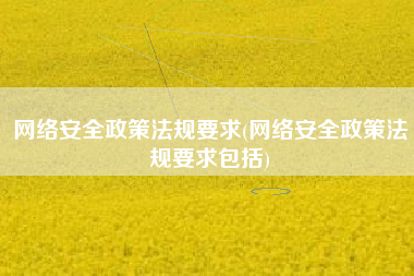 网络安全政策法规要求(网络安全政策法规要求包括)