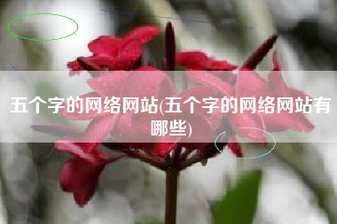 五个字的网络网站(五个字的网络网站有哪些)