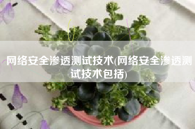 网络安全渗透测试技术(网络安全渗透测试技术包括)
