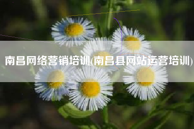 南昌网络营销培训(南昌县网站运营培训)