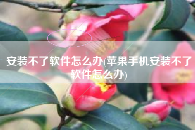 安装不了软件怎么办(苹果手机安装不了软件怎么办)